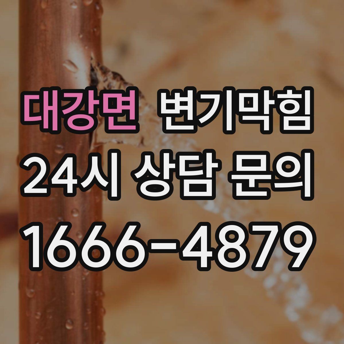 대강면 변기막힘 빌라 배수구막힘 반복 구간 도면화