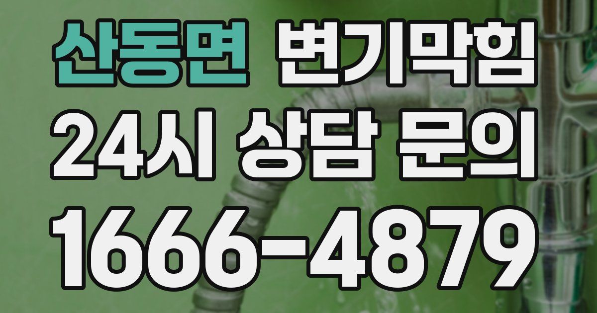산동면 변기