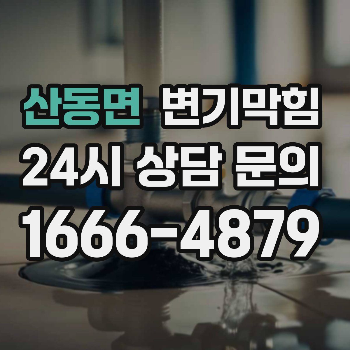 산동면 변기막힘