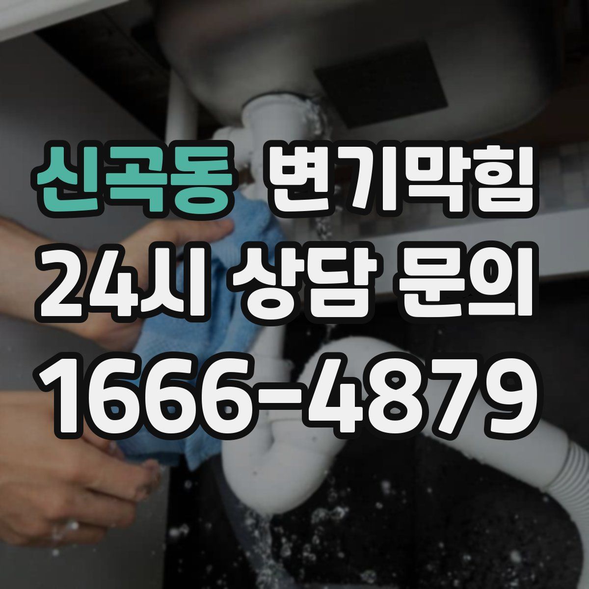 신곡동 변기막힘