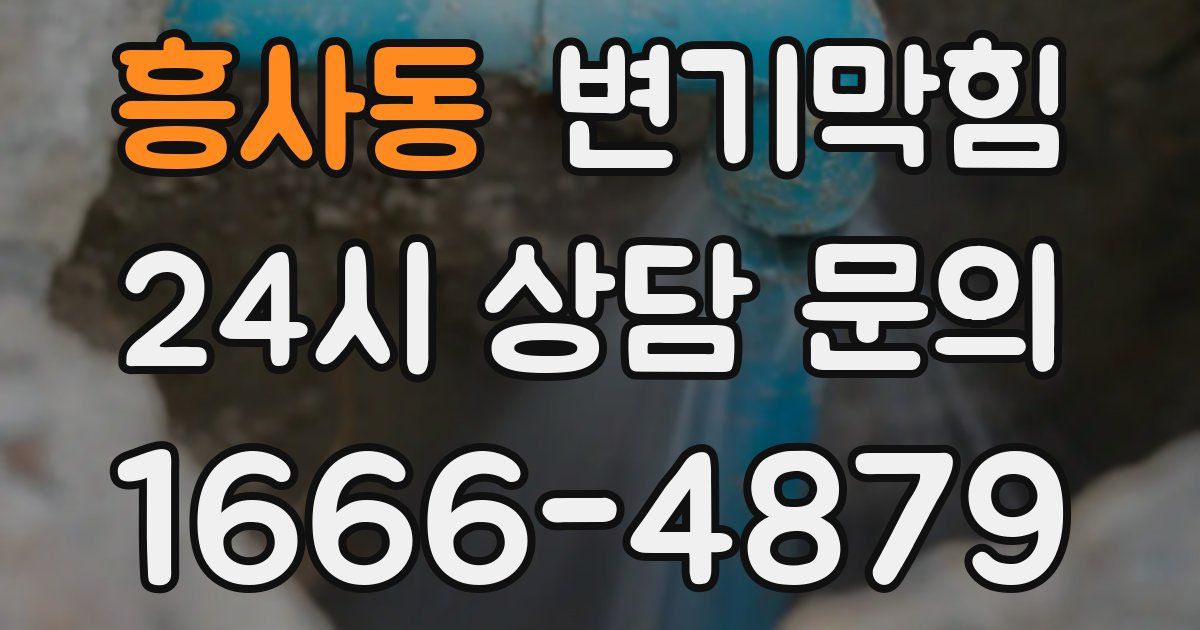흥사동 변기