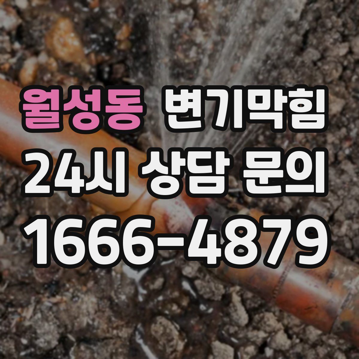 월성동 변기막힘