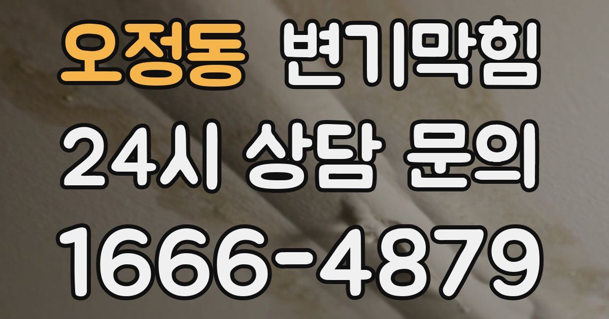 오정동 변기