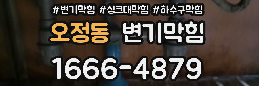 변기막힘