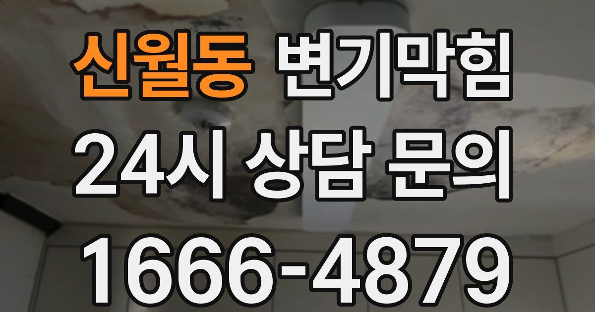신월동 변기