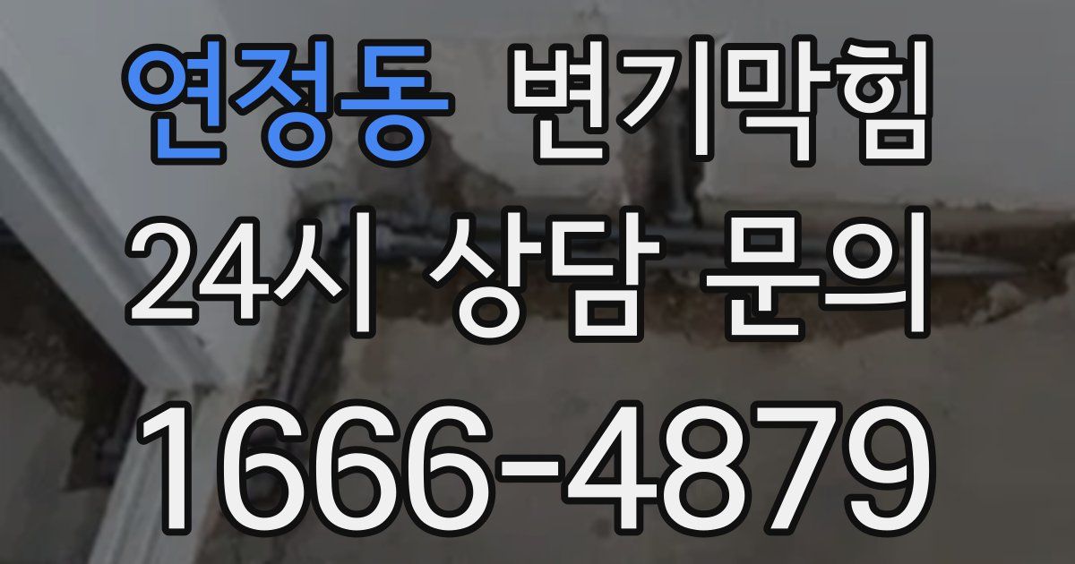 연정동 변기