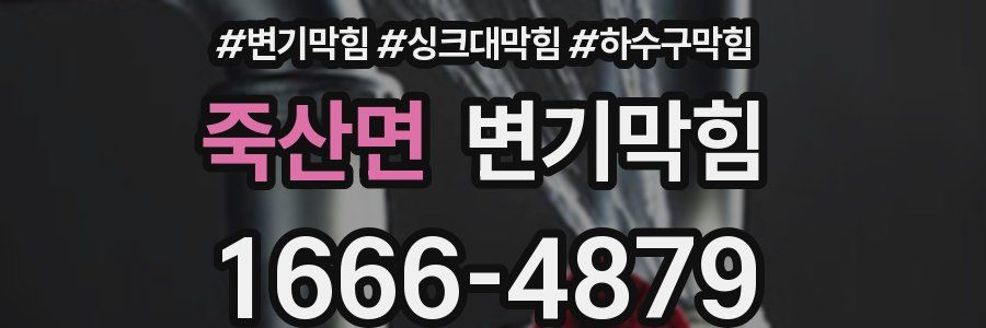 변기막힘