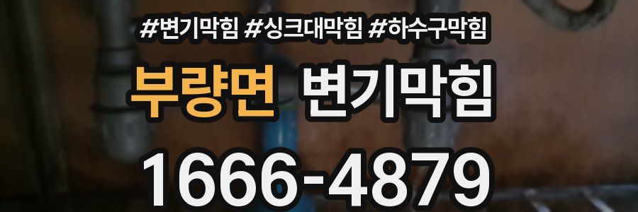 변기막힘