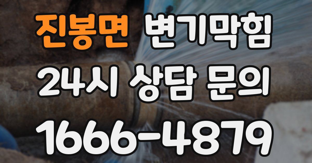 진봉면 변기