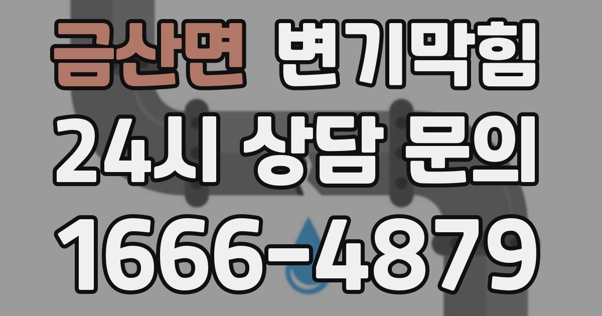 금산면 변기