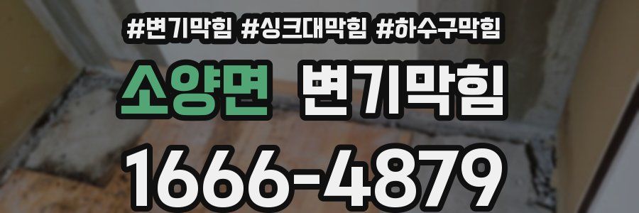 변기막힘