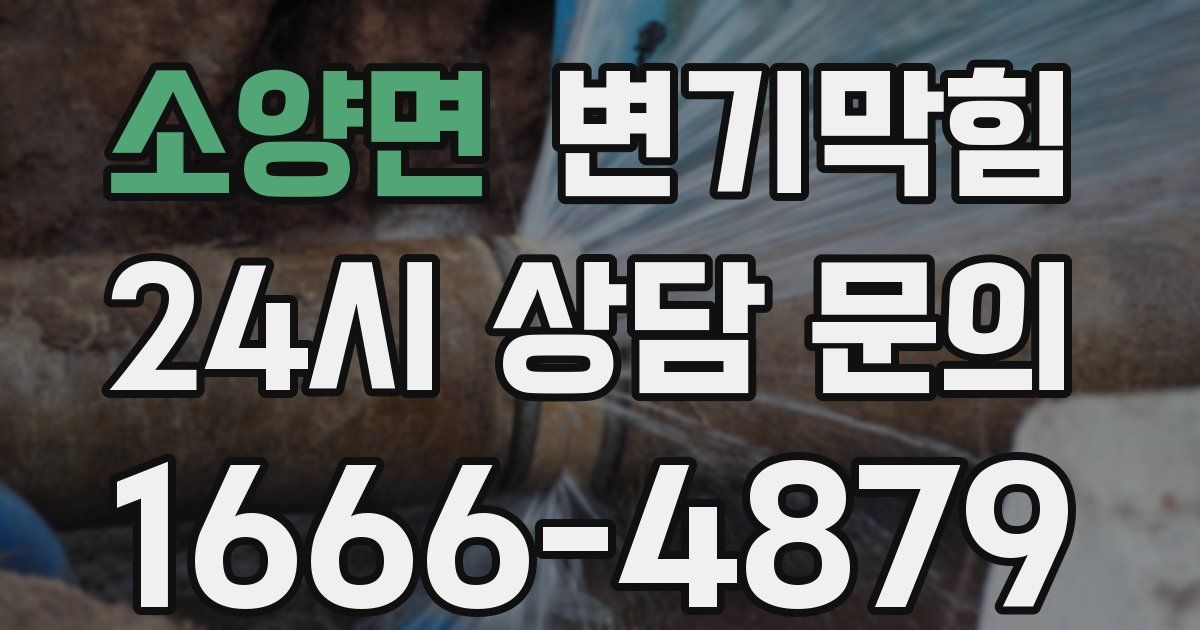 소양면 변기