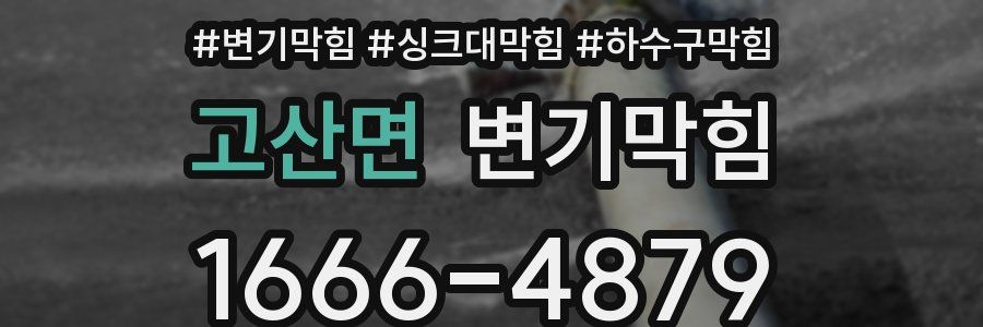 변기막힘