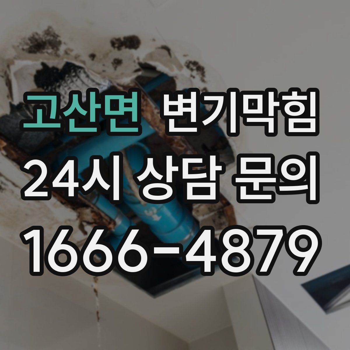 고산면 변기막힘