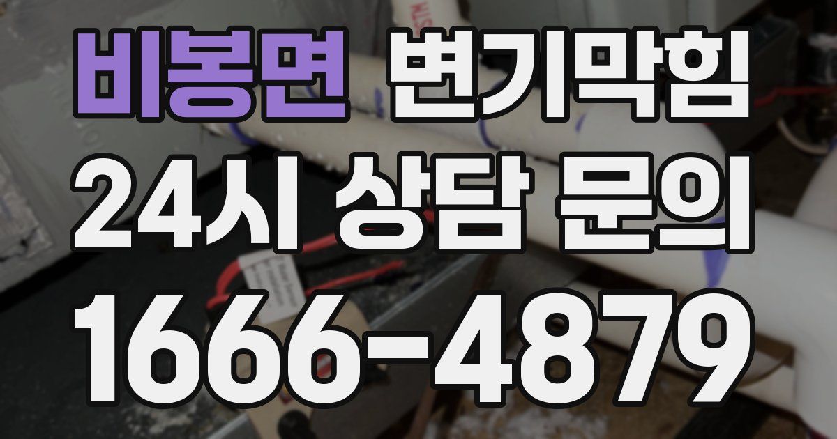 비봉면 변기
