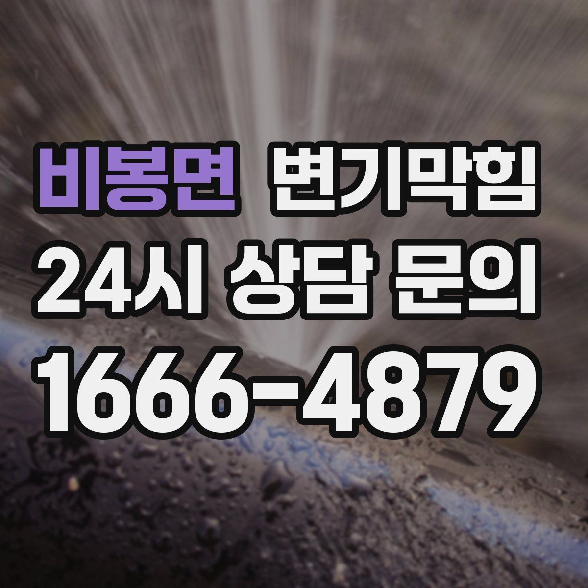 비봉면 변기막힘