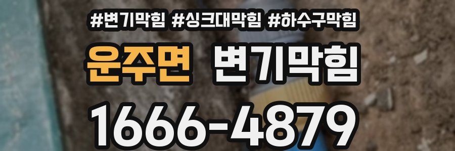 변기막힘