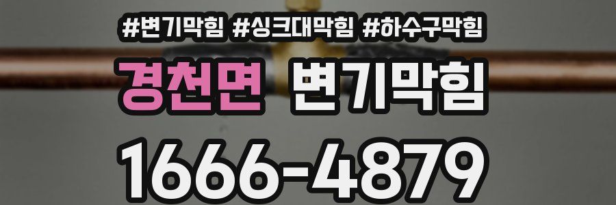 변기막힘
