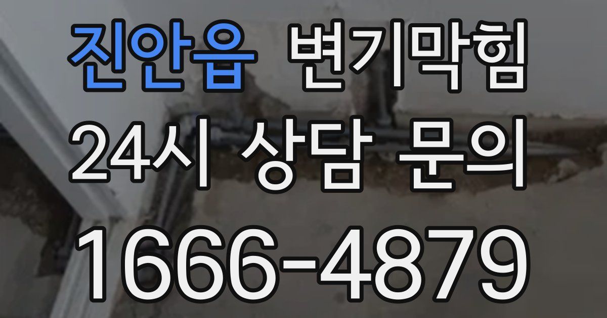 진안읍 변기