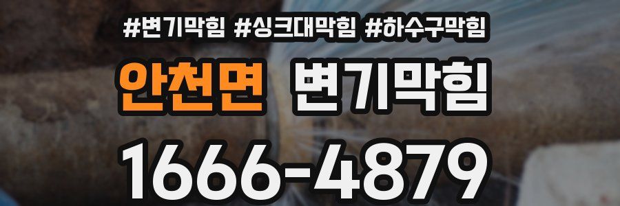 변기막힘