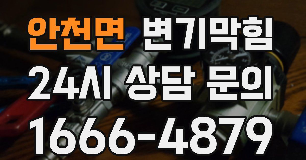 안천면 변기