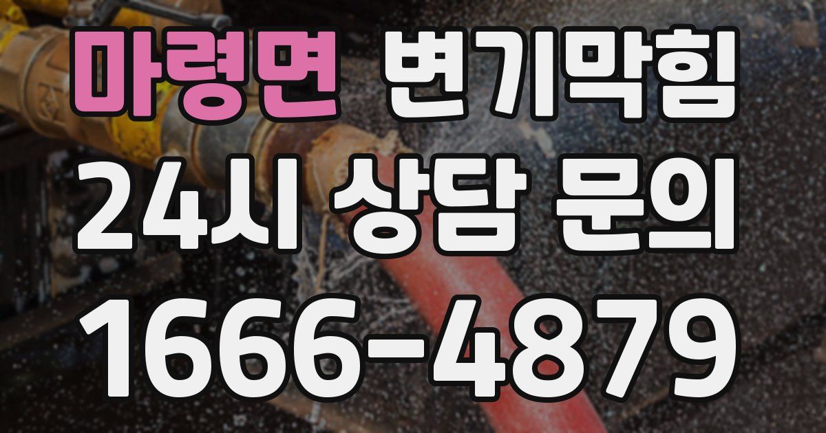 마령면 변기