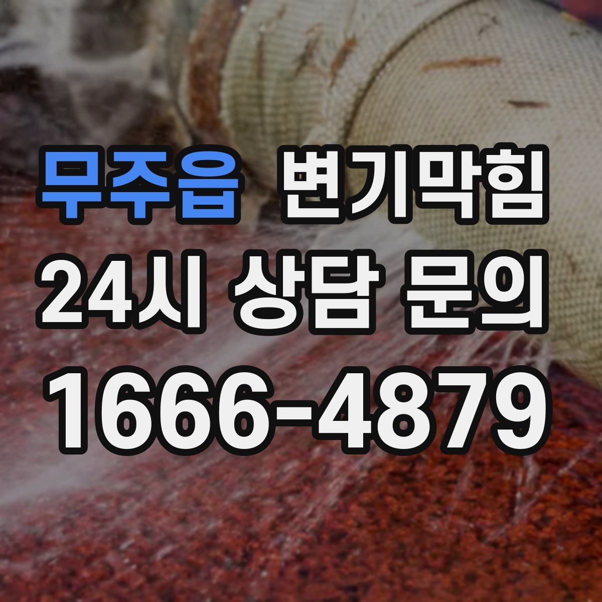 무주읍 변기막힘