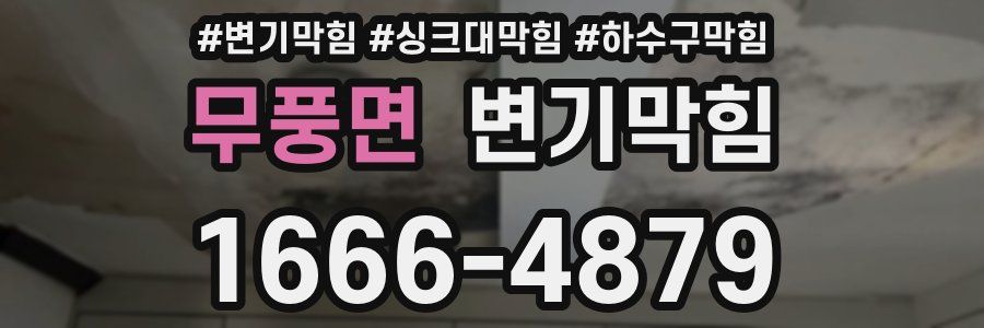 변기막힘