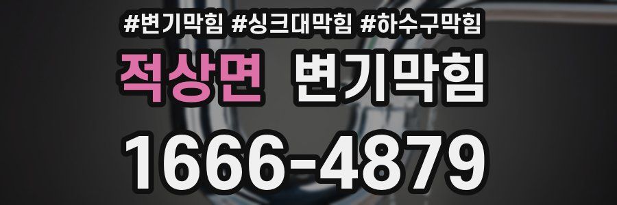 변기막힘