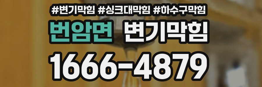 변기막힘