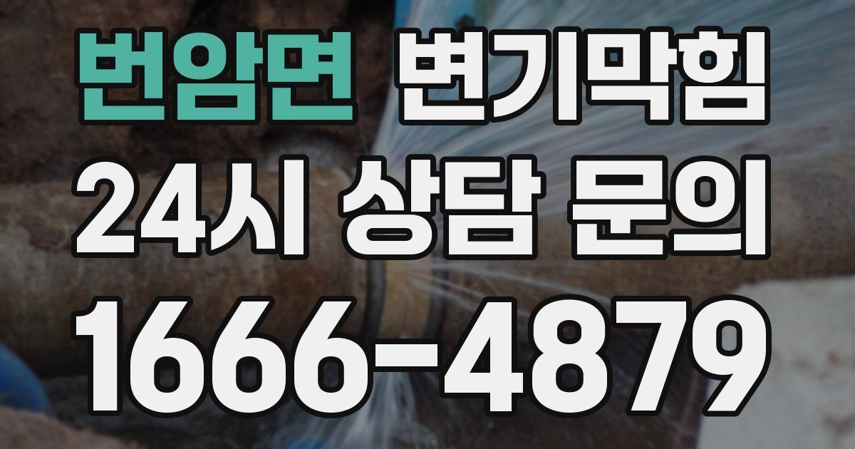 번암면 변기
