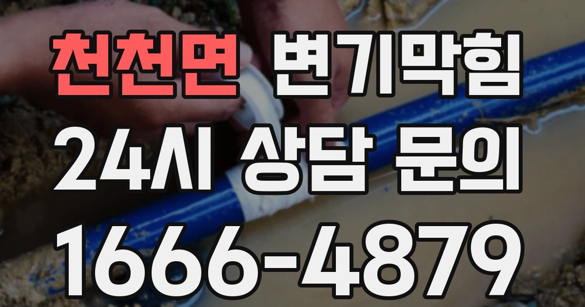 천천면 변기