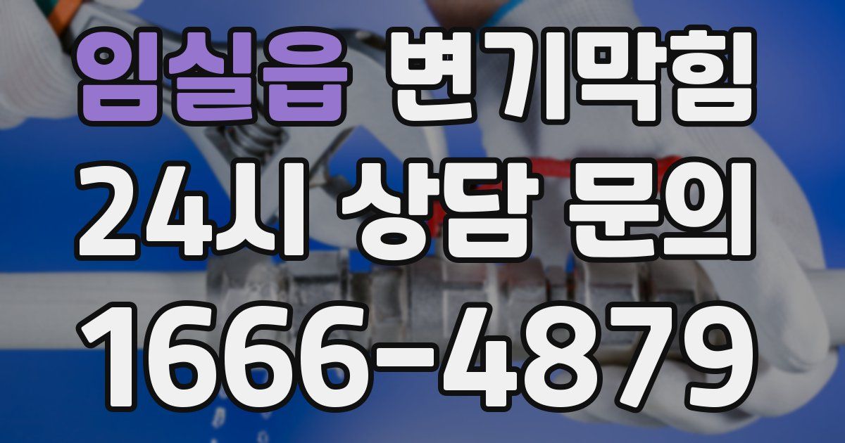 임실읍 변기