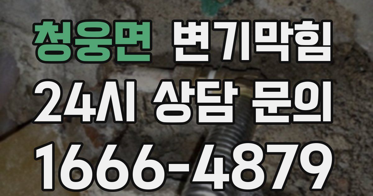 청웅면 변기