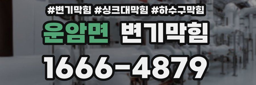 변기막힘