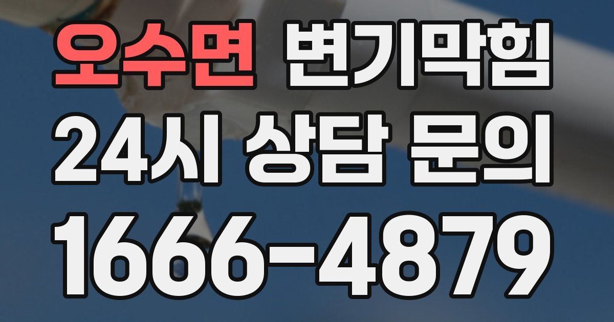 오수면 변기