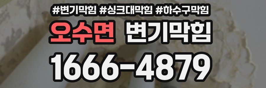 변기막힘