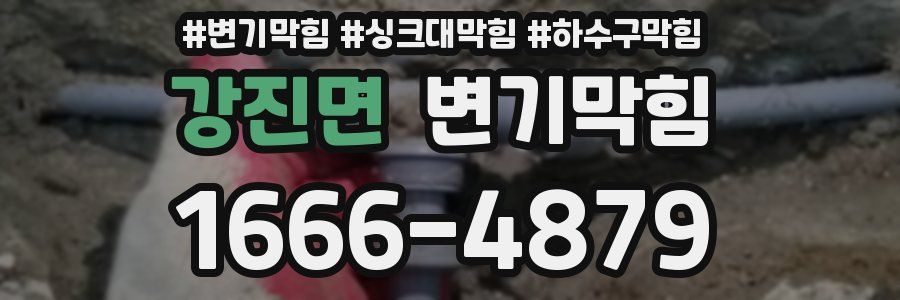 변기막힘
