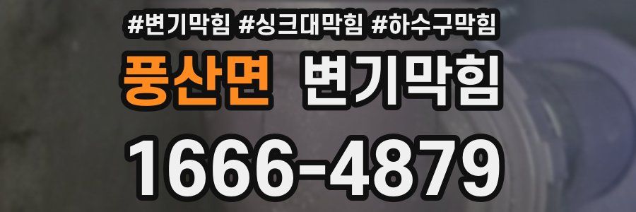 변기막힘