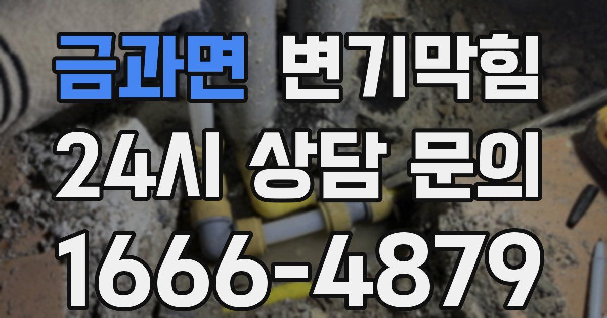 금과면 변기