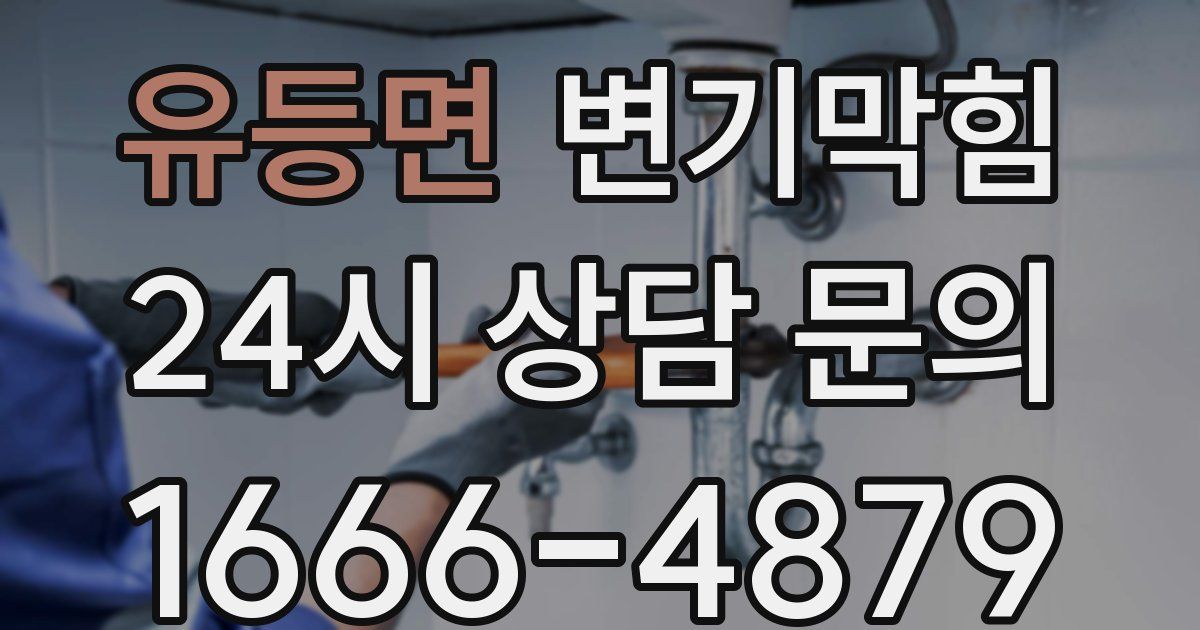 유등면 변기