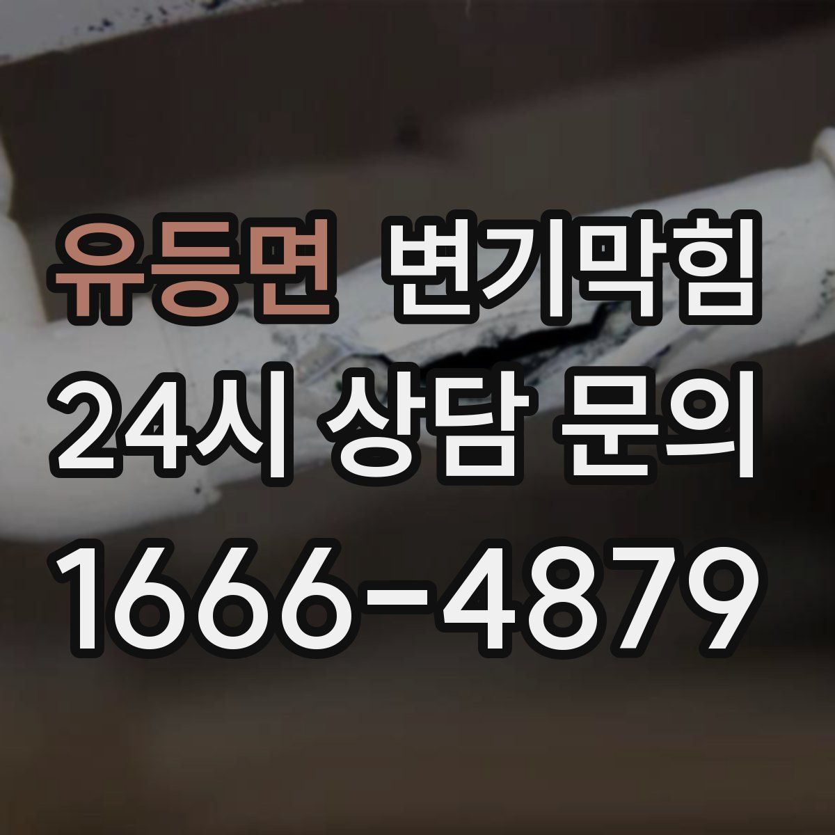 유등면 변기막힘
