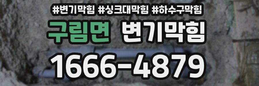 변기막힘