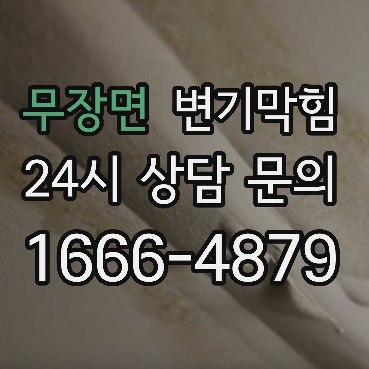 무장면 변기막힘 카페 변기뚫기 고객 대기 최소화