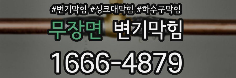 변기막힘