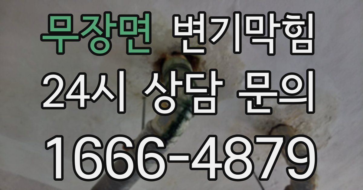 무장면 변기