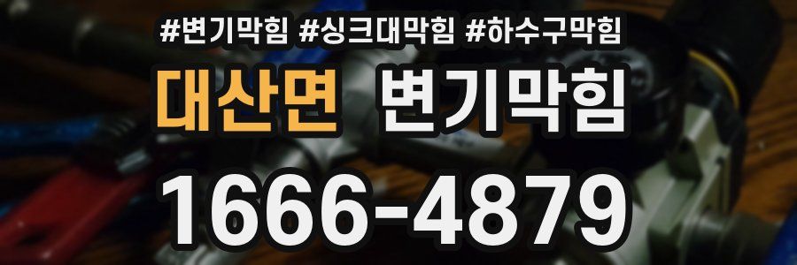 변기막힘