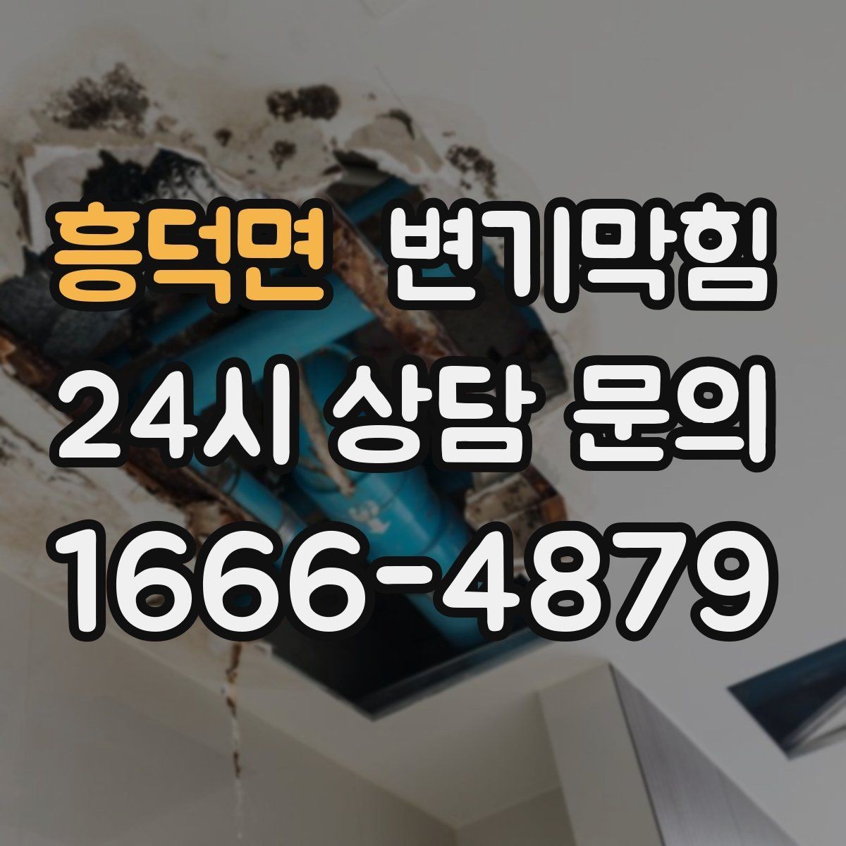 흥덕면 변기막힘 카페 수봉 유지로 악취 제로