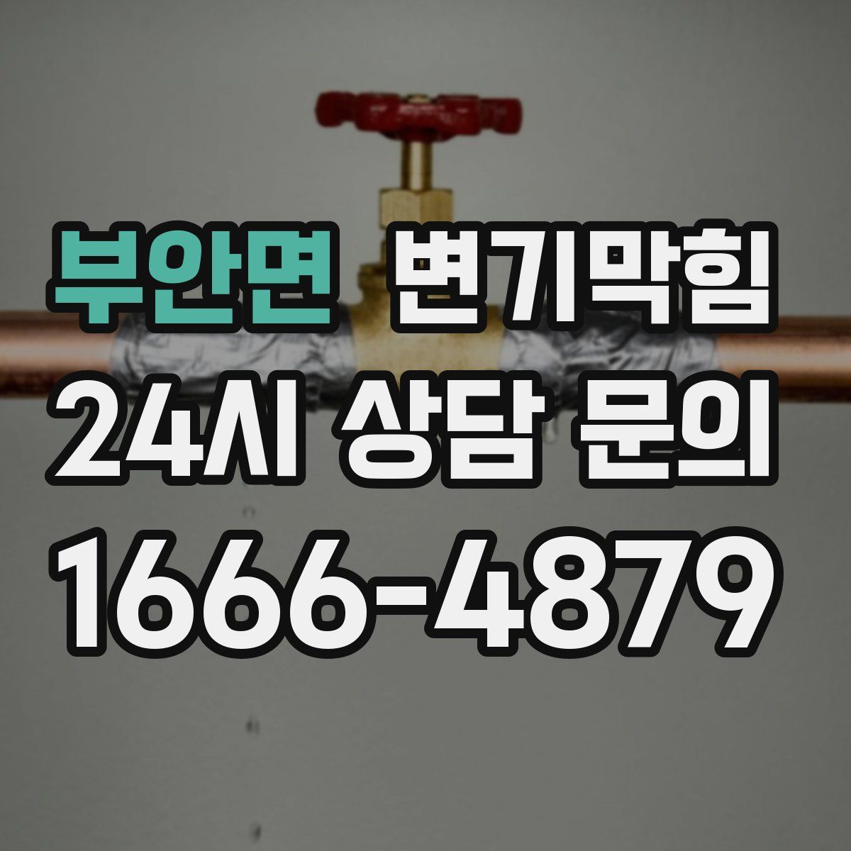 부안면 변기막힘