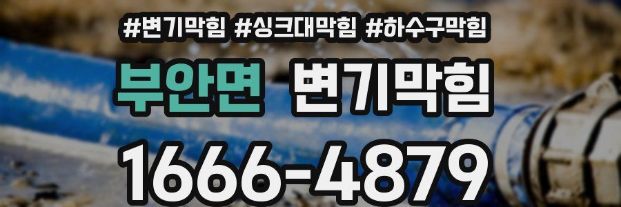 변기막힘